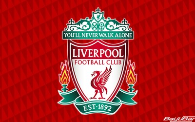 第一电竞评论-哈兰德伤情更新积极