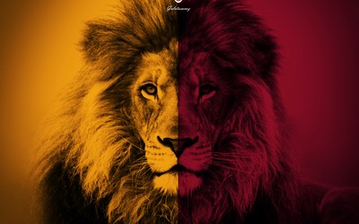 第一电竞快讯-女足英超曼城德比战火药味十足精彩